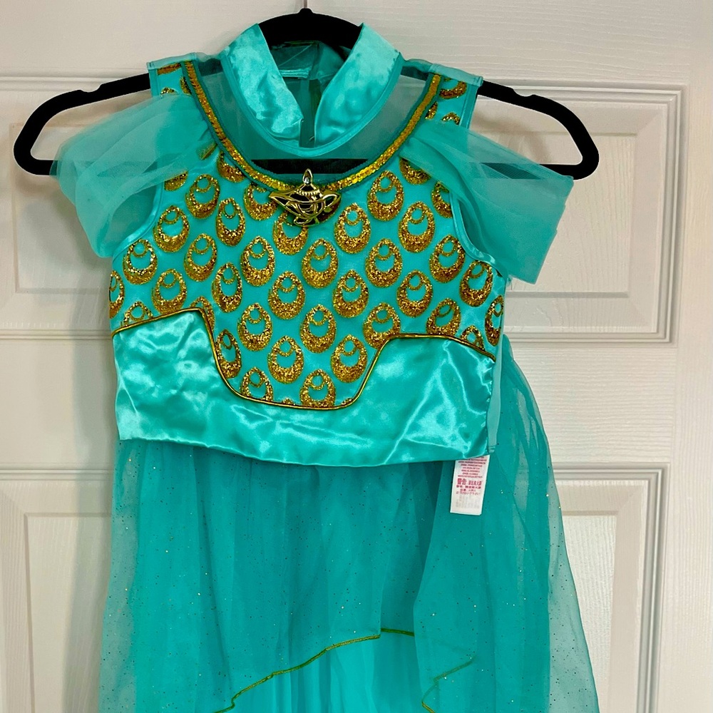 Disney Princess Jasmine costume, girls size 7/8